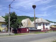 Біла Церква з panoramio.com