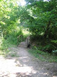 Тополівка з panoramio.com