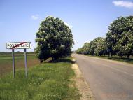 Роздольне з panoramio.com