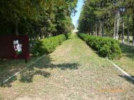 Вербова з panoramio.com