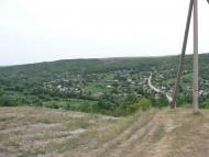 Галайківці з panoramio.com