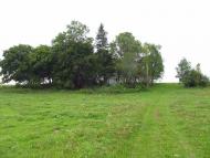 Панасівка з panoramio.com