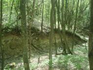 Любомирівка з panoramio.com