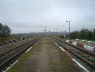 Буйволівці з panoramio.com