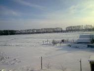 Нова Олександрівка з panoramio.com