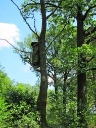 Прислуч з panoramio.com