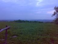 Новошини з panoramio.com