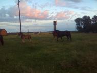 Яблунівка з panoramio.com