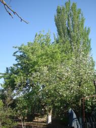 Солончаки з panoramio.com