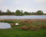 Красносілка з panoramio.com