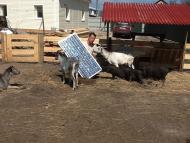 Старі Петрівці з panoramio.com