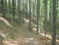 Хорови з panoramio.com