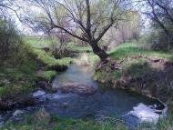 Новоселівка з panoramio.com