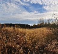 Стриганка з panoramio.com