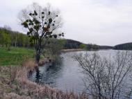 Всесвятське з panoramio.com