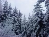 Хижа з panoramio.com