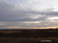 Скоморохи з panoramio.com