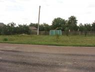 Рози Люксенбург з panoramio.com