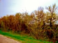 Коженики з panoramio.com