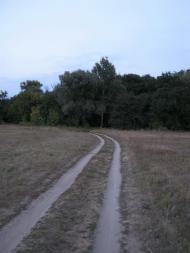Велика Чернеччина з panoramio.com