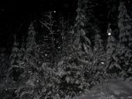 Коростів з panoramio.com