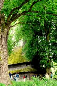 Крайниково з panoramio.com