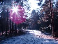 Куліші - Останні фото