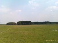 Облапи з panoramio.com