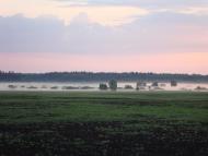 Ічня з panoramio.com