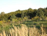 Нова Мощаниця з panoramio.com