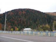 Гута з panoramio.com