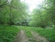 Маціорськ з panoramio.com