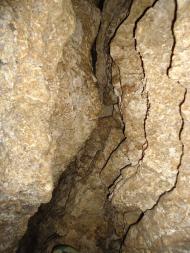 Залісся з panoramio.com