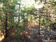 Забуччя з panoramio.com