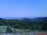 Сливниця з panoramio.com