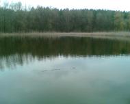 Куліші - Останні фото