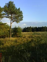 Лопушниця з panoramio.com