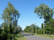 Редьківка з panoramio.com