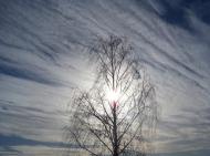 Подвірки з panoramio.com