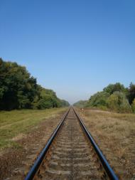 Кузничі з panoramio.com