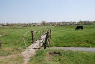 Петрівка з panoramio.com