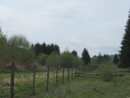 Селятин з panoramio.com