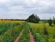 Всесвятське з panoramio.com