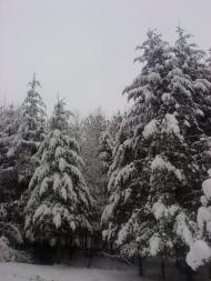 Хижа з panoramio.com