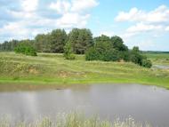 Шевченкове з panoramio.com