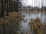 Будище з panoramio.com