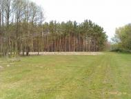 Облапи з panoramio.com