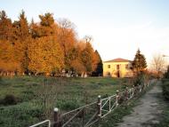 Маків з panoramio.com