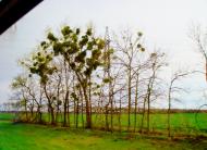 Коженики з panoramio.com