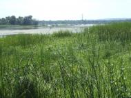 Кривуші з panoramio.com